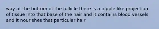 way at the bottom of the follicle there is a nipple like projection of tissue into that base of the hair and it contains blood vessels and it nourishes that particular hair