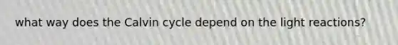 what way does the Calvin cycle depend on the light reactions?