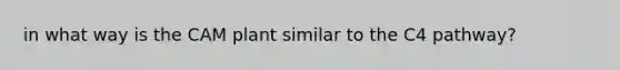 in what way is the CAM plant similar to the C4 pathway?