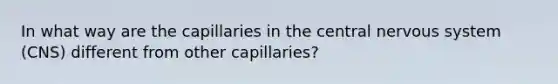 In what way are the capillaries in the central nervous system (CNS) different from other capillaries?