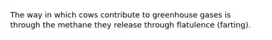 The way in which cows contribute to greenhouse gases is through the methane they release through flatulence (farting).