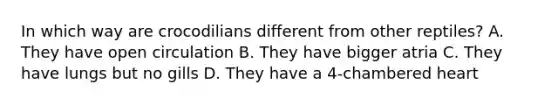 In which way are crocodilians different from other reptiles? A. They have open circulation B. They have bigger atria C. They have lungs but no gills D. They have a 4-chambered heart
