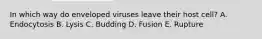 In which way do enveloped viruses leave their host cell? A. Endocytosis B. Lysis C. Budding D. Fusion E. Rupture