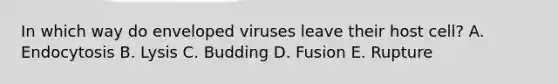 In which way do enveloped viruses leave their host cell? A. Endocytosis B. Lysis C. Budding D. Fusion E. Rupture