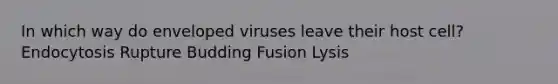 In which way do enveloped viruses leave their host cell? Endocytosis Rupture Budding Fusion Lysis