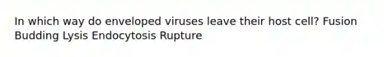 In which way do enveloped viruses leave their host cell? Fusion Budding Lysis Endocytosis Rupture