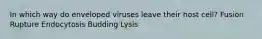 In which way do enveloped viruses leave their host cell? Fusion Rupture Endocytosis Budding Lysis