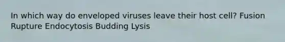 In which way do enveloped viruses leave their host cell? Fusion Rupture Endocytosis Budding Lysis