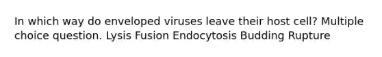 In which way do enveloped viruses leave their host cell? Multiple choice question. Lysis Fusion Endocytosis Budding Rupture