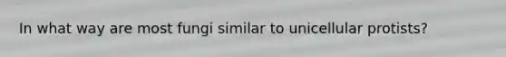 In what way are most fungi similar to unicellular protists?
