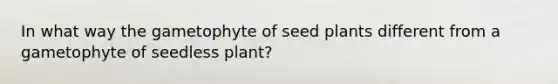 In what way the gametophyte of seed plants different from a gametophyte of seedless plant?