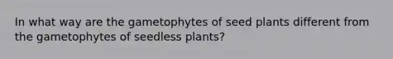 In what way are the gametophytes of seed plants different from the gametophytes of seedless plants?