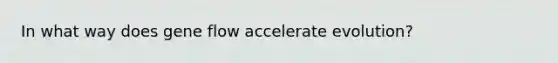 In what way does gene flow accelerate evolution?