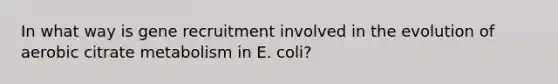 In what way is gene recruitment involved in the evolution of aerobic citrate metabolism in E. coli?