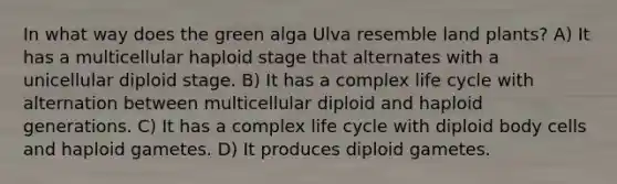 In what way does the green alga Ulva resemble land plants? A) It has a multicellular haploid stage that alternates with a unicellular diploid stage. B) It has a complex life cycle with alternation between multicellular diploid and haploid generations. C) It has a complex life cycle with diploid body cells and haploid gametes. D) It produces diploid gametes.