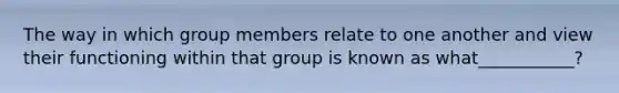 The way in which group members relate to one another and view their functioning within that group is known as what___________?