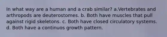 In what way are a human and a crab similar? a.Vertebrates and arthropods are deuterostomes. b. Both have muscles that pull against rigid skeletons. c. Both have closed <a href='https://www.questionai.com/knowledge/kBP5NsQCWH-circulatory-systems' class='anchor-knowledge'>circulatory systems</a>. d. Both have a continuos growth pattern.