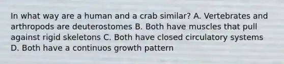 In what way are a human and a crab similar? A. Vertebrates and arthropods are deuterostomes B. Both have muscles that pull against rigid skeletons C. Both have closed circulatory systems D. Both have a continuos growth pattern