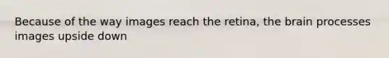 Because of the way images reach the retina, the brain processes images upside down