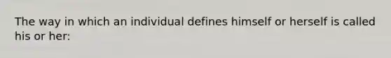 The way in which an individual defines himself or herself is called his or her: