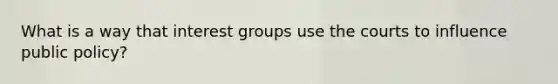 What is a way that interest groups use the courts to influence public policy?