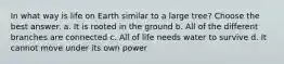 In what way is life on Earth similar to a large tree? Choose the best answer. a. It is rooted in the ground b. All of the different branches are connected c. All of life needs water to survive d. It cannot move under its own power