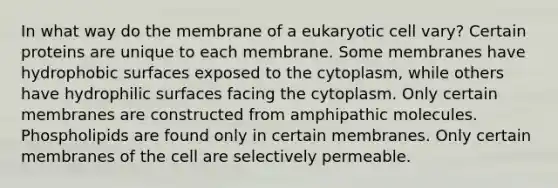 In what way do the membrane of a eukaryotic cell vary? Certain proteins are unique to each membrane. Some membranes have hydrophobic surfaces exposed to the cytoplasm, while others have hydrophilic surfaces facing the cytoplasm. Only certain membranes are constructed from amphipathic molecules. Phospholipids are found only in certain membranes. Only certain membranes of the cell are selectively permeable.