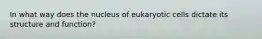 In what way does the nucleus of eukaryotic cells dictate its structure and function?