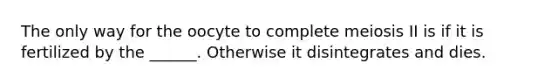 The only way for the oocyte to complete meiosis II is if it is fertilized by the ______. Otherwise it disintegrates and dies.