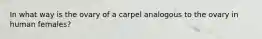 In what way is the ovary of a carpel analogous to the ovary in human females?