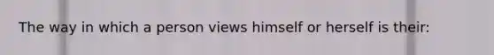 The way in which a person views himself or herself is their: