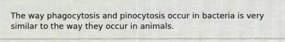 The way phagocytosis and pinocytosis occur in bacteria is very similar to the way they occur in animals.