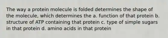 The way a protein molecule is folded determines the shape of the molecule, which determines the a. function of that protein b. structure of ATP containing that protein c. type of simple sugars in that protein d. amino acids in that protein