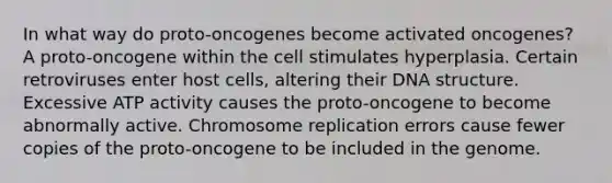 In what way do proto-oncogenes become activated oncogenes? A proto-oncogene within the cell stimulates hyperplasia. Certain retroviruses enter host cells, altering their DNA structure. Excessive ATP activity causes the proto-oncogene to become abnormally active. Chromosome replication errors cause fewer copies of the proto-oncogene to be included in the genome.