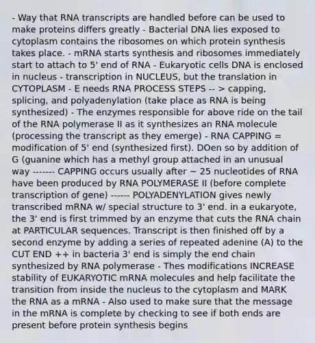 - Way that RNA transcripts are handled before can be used to make proteins differs greatly - Bacterial DNA lies exposed to cytoplasm contains the ribosomes on which protein synthesis takes place. - mRNA starts synthesis and ribosomes immediately start to attach to 5' end of RNA - Eukaryotic cells DNA is enclosed in nucleus - transcription in NUCLEUS, but the translation in CYTOPLASM - E needs RNA PROCESS STEPS -- > capping, splicing, and polyadenylation (take place as RNA is being synthesized) - The enzymes responsible for above ride on the tail of the RNA polymerase II as it synthesizes an RNA molecule (processing the transcript as they emerge) - RNA CAPPING = modification of 5' end (synthesized first). DOen so by addition of G (guanine which has a methyl group attached in an unusual way ------- CAPPING occurs usually after ~ 25 nucleotides of RNA have been produced by RNA POLYMERASE II (before complete transcription of gene) ------ POLYADENYLATION gives newly transcribed mRNA w/ special structure to 3' end. in a eukaryote, the 3' end is first trimmed by an enzyme that cuts the RNA chain at PARTICULAR sequences. Transcript is then finished off by a second enzyme by adding a series of repeated adenine (A) to the CUT END ++ in bacteria 3' end is simply the end chain synthesized by RNA polymerase - Thes modifications INCREASE stability of EUKARYOTIC mRNA molecules and help facilitate the transition from inside the nucleus to the cytoplasm and MARK the RNA as a mRNA - Also used to make sure that the message in the mRNA is complete by checking to see if both ends are present before protein synthesis begins