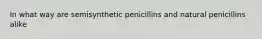 In what way are semisynthetic penicillins and natural penicillins alike