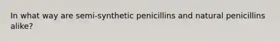 In what way are semi-synthetic penicillins and natural penicillins alike?