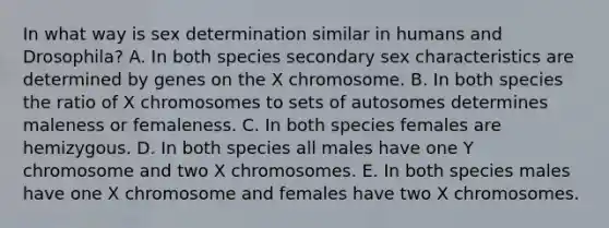 In what way is sex determination similar in humans and Drosophila? A. In both species secondary sex characteristics are determined by genes on the X chromosome. B. In both species the ratio of X chromosomes to sets of autosomes determines maleness or femaleness. C. In both species females are hemizygous. D. In both species all males have one Y chromosome and two X chromosomes. E. In both species males have one X chromosome and females have two X chromosomes.