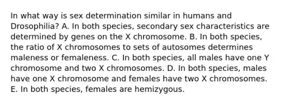 In what way is sex determination similar in humans and Drosophilia? A. In both species, secondary sex characteristics are determined by genes on the X chromosome. B. In both species, the ratio of X chromosomes to sets of autosomes determines maleness or femaleness. C. In both species, all males have one Y chromosome and two X chromosomes. D. In both species, males have one X chromosome and females have two X chromosomes. E. In both species, females are hemizygous.