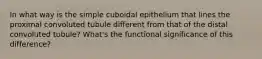 In what way is the simple cuboidal epithelium that lines the proximal convoluted tubule different from that of the distal convoluted tubule? What's the functional significance of this difference?