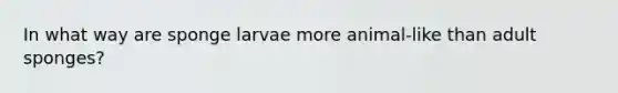 In what way are sponge larvae more animal-like than adult sponges?