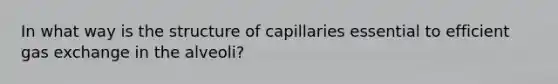 In what way is the structure of capillaries essential to efficient gas exchange in the alveoli?