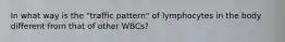 In what way is the "traffic pattern" of lymphocytes in the body different from that of other WBCs?