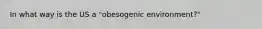 In what way is the US a "obesogenic environment?"