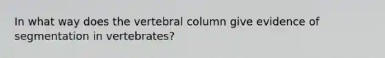 In what way does the vertebral column give evidence of segmentation in vertebrates?