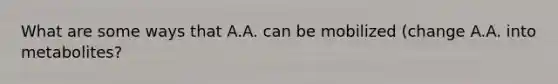 What are some ways that A.A. can be mobilized (change A.A. into metabolites?