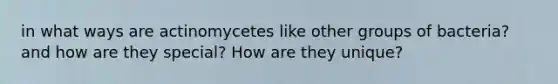 in what ways are actinomycetes like other groups of bacteria? and how are they special? How are they unique?