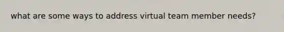 what are some ways to address virtual team member needs?