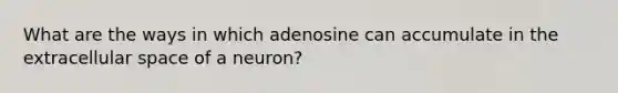 What are the ways in which adenosine can accumulate in the extracellular space of a neuron?