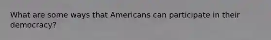 What are some ways that Americans can participate in their democracy?